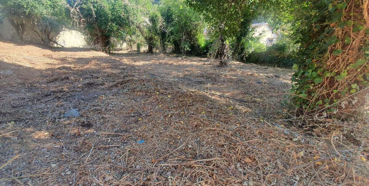 Terrain à TOURRETTE-LEVENS