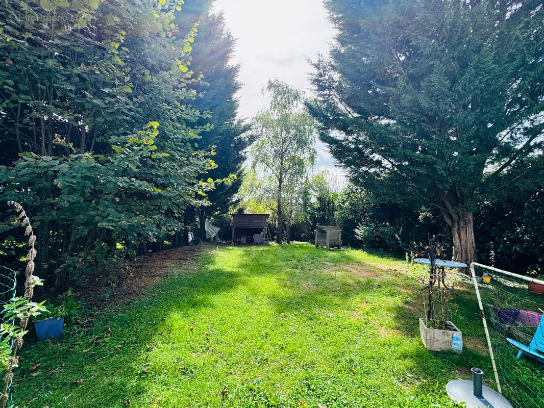 Maison à SAINT-BONNET-EN-BRESSE
