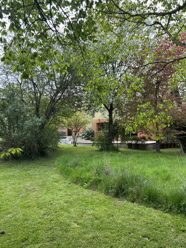 Maison à POMMERA