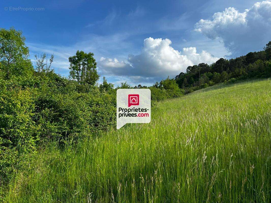 Beau terrain constructible et arboré de 3350 m² situé proche du bourg de SAINT-PAUL-DE-SERRE (24380) - photo 2