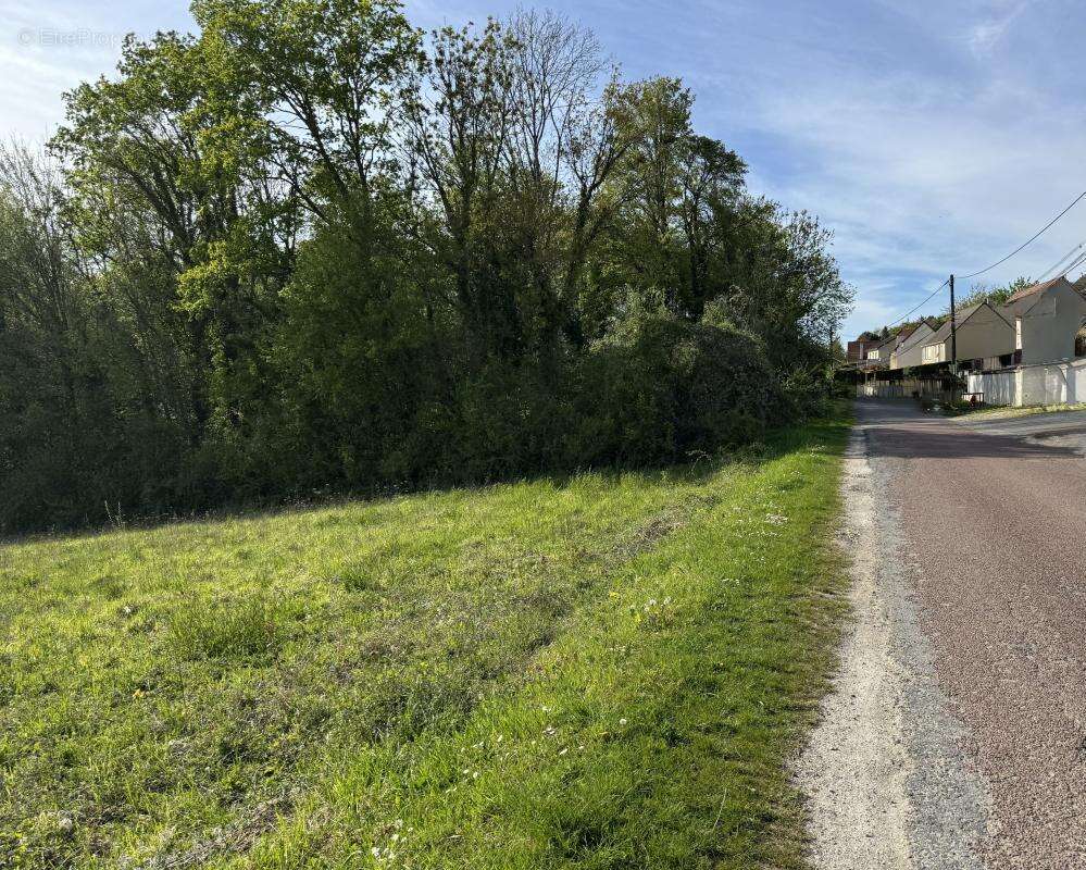 Terrain à MONTREUIL-AUX-LIONS