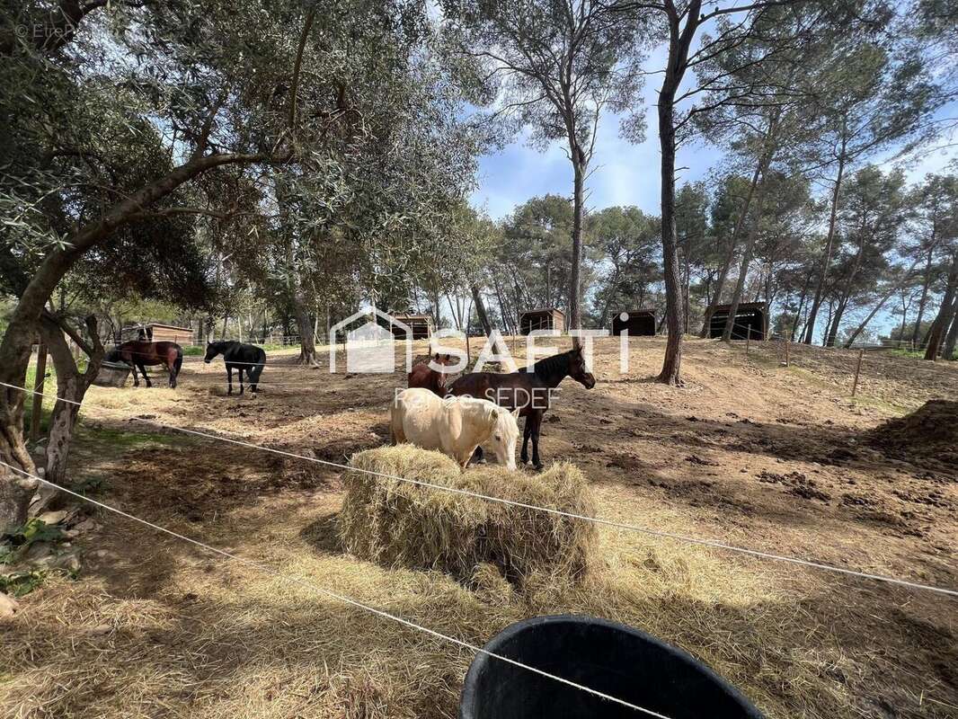Photo 2 - Commerce à MOUGINS