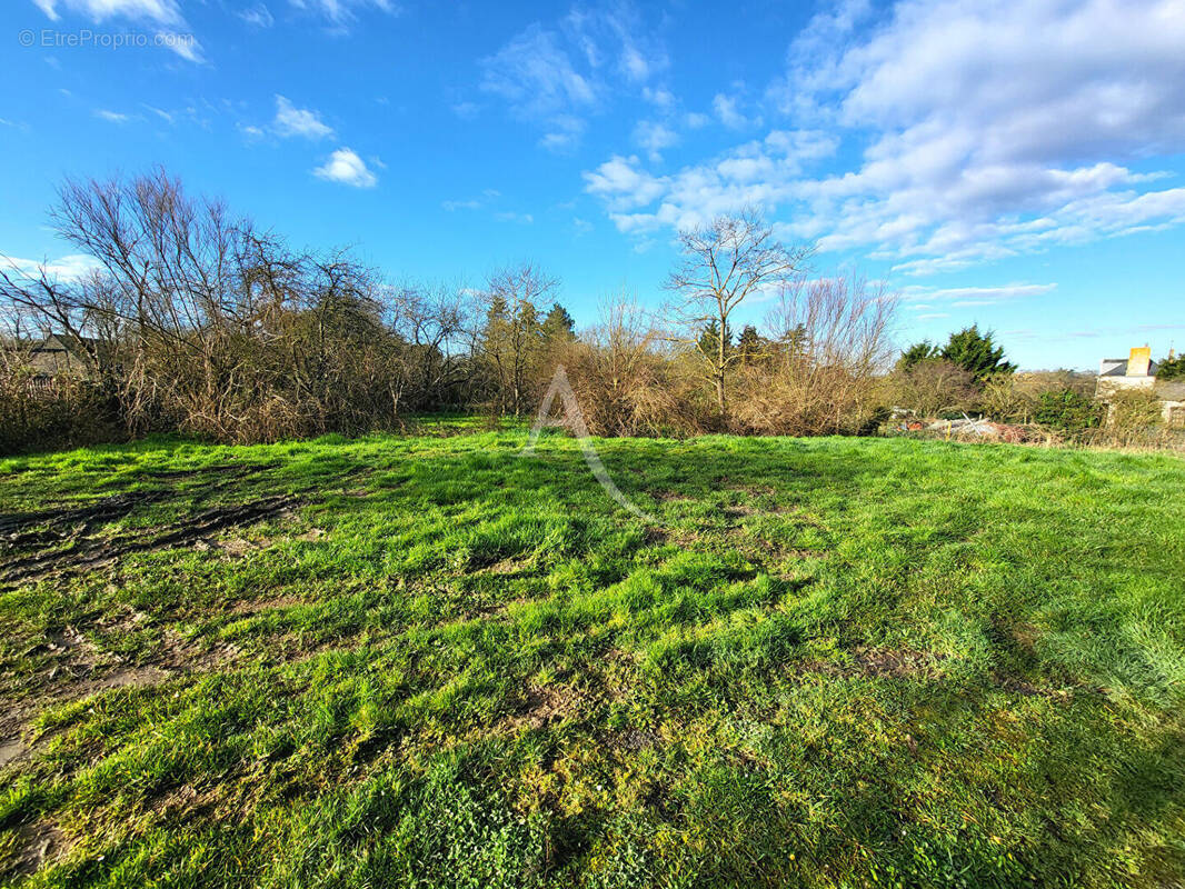 Terrain à THOUARCE