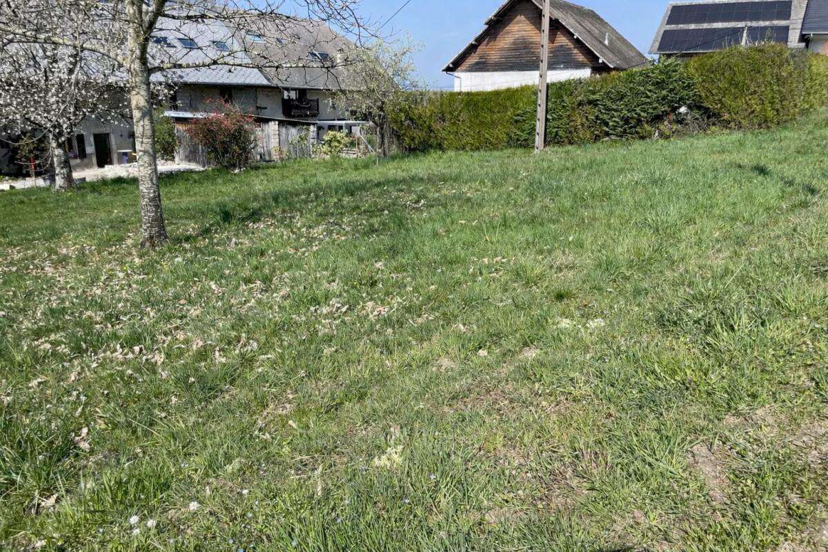 Terrain à SAINT-FELIX