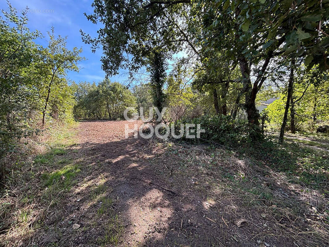 Terrain à CASTELNAU-D&#039;ESTRETEFONDS