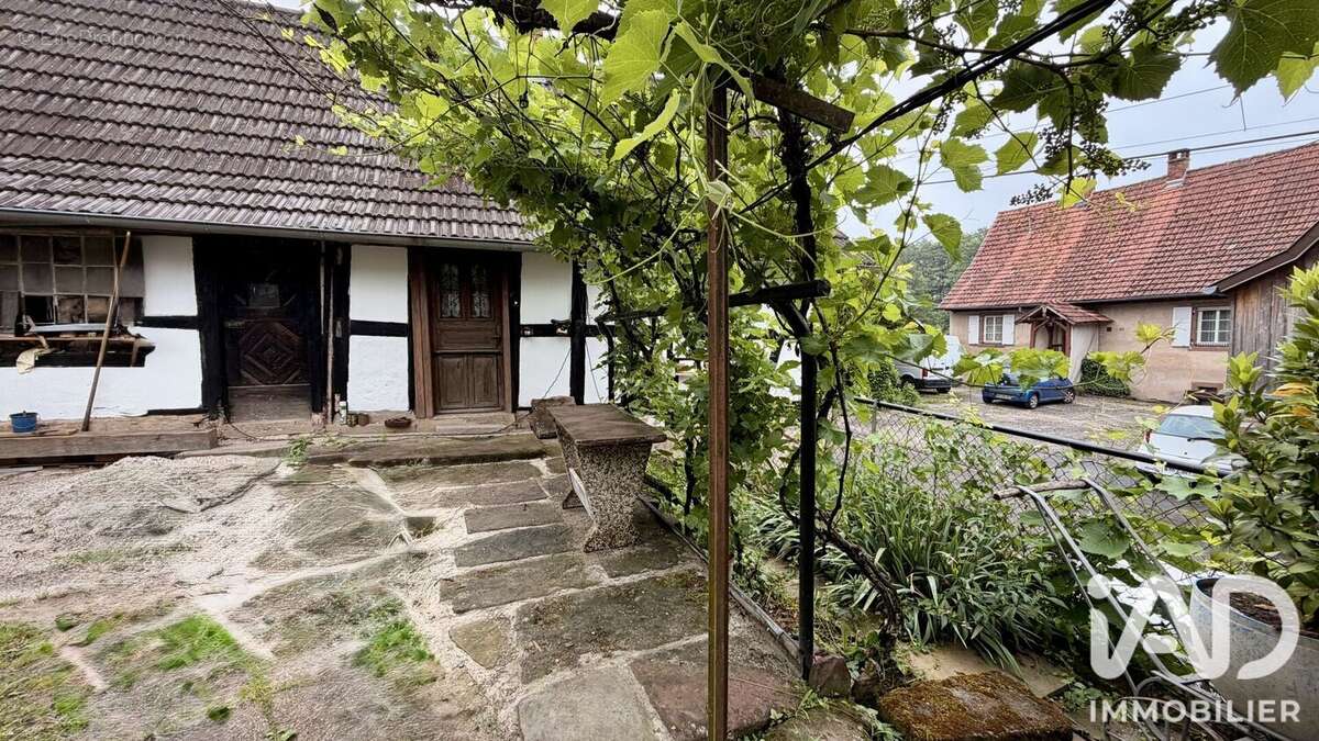 Photo 7 - Maison à LANGENSOULTZBACH