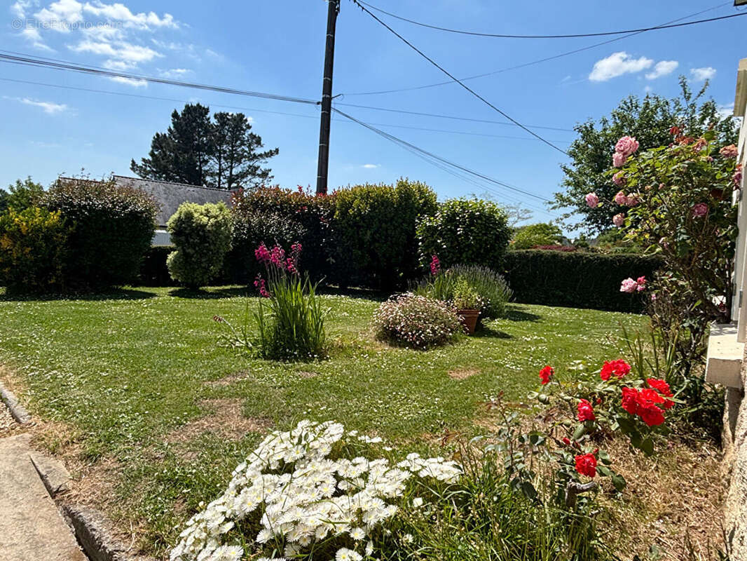 Maison à CLOHARS-CARNOET