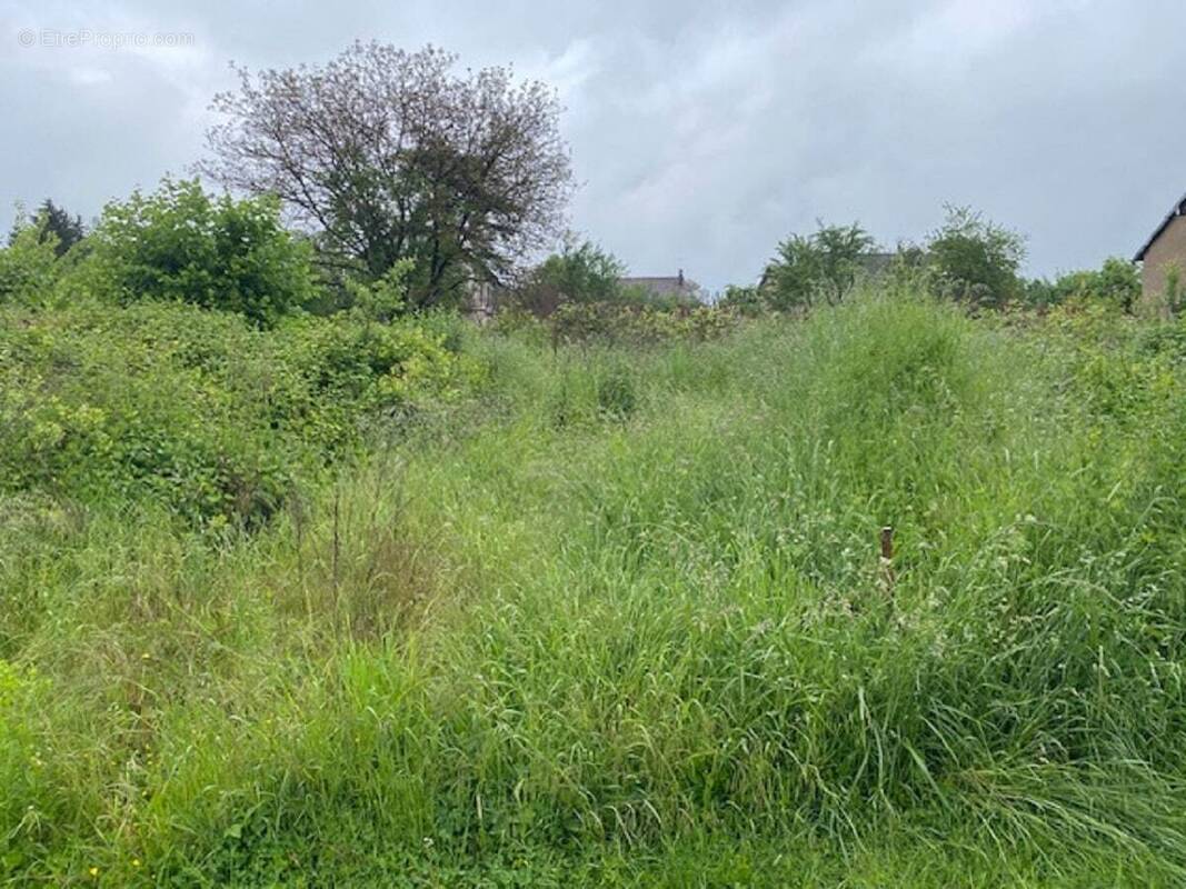 Terrain à LA CHAPELLE-SAINT-MARTIN-EN-PLAINE