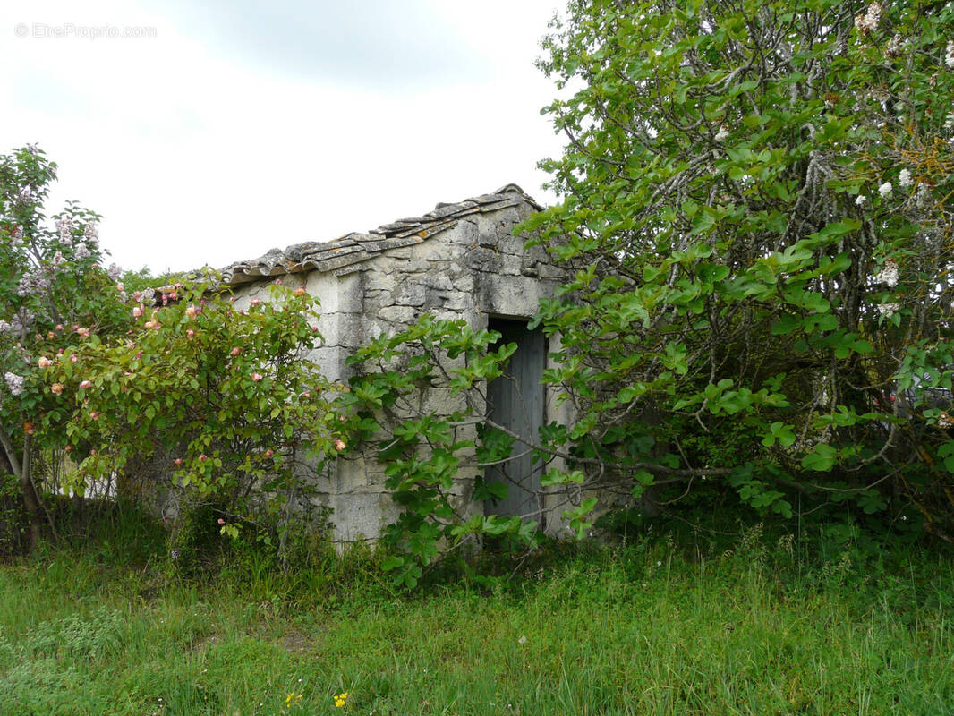 Terrain à CASTELNAU-MONTRATIER