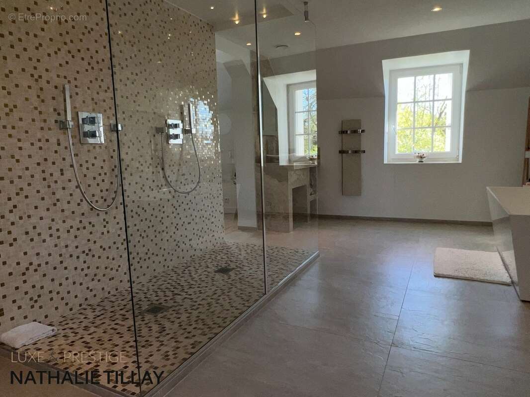 Orléans, Propriete à vendre, superbe Moulin rénové et bordé par la rivière, a l est d Orleans, parcelle de 4500 m² - photo 14