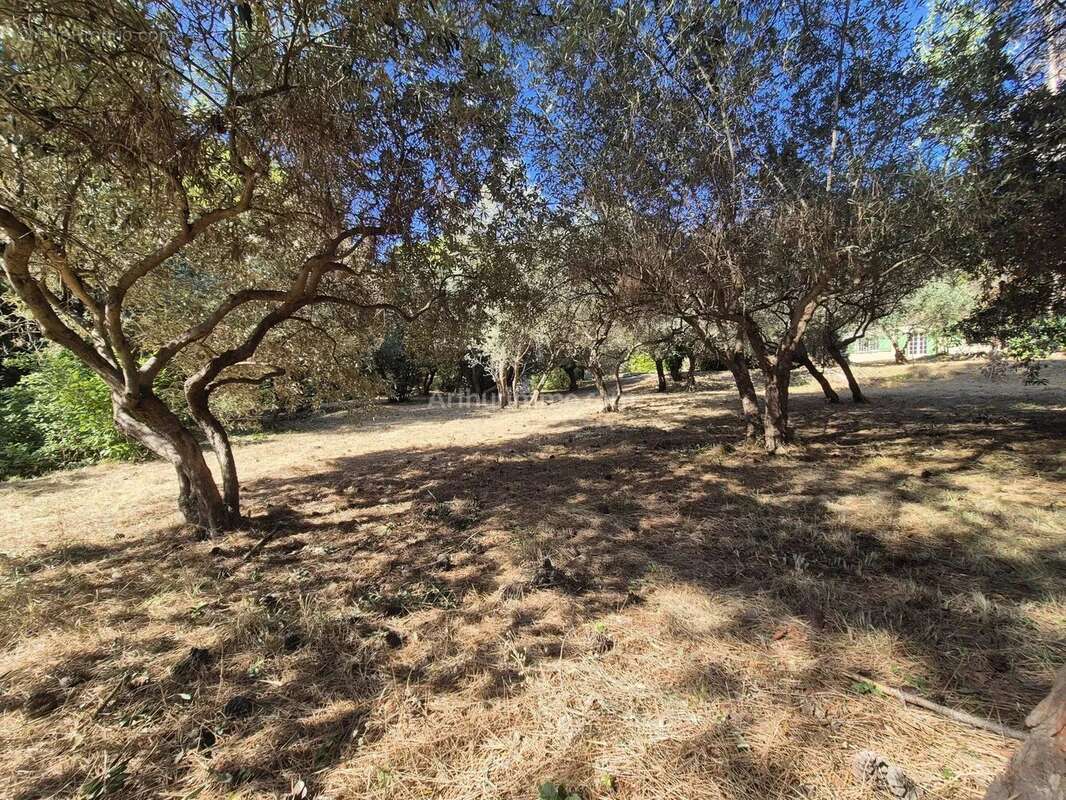 Vente Terrain Draguignan(83300) 145 000ï¿œ - photo 4