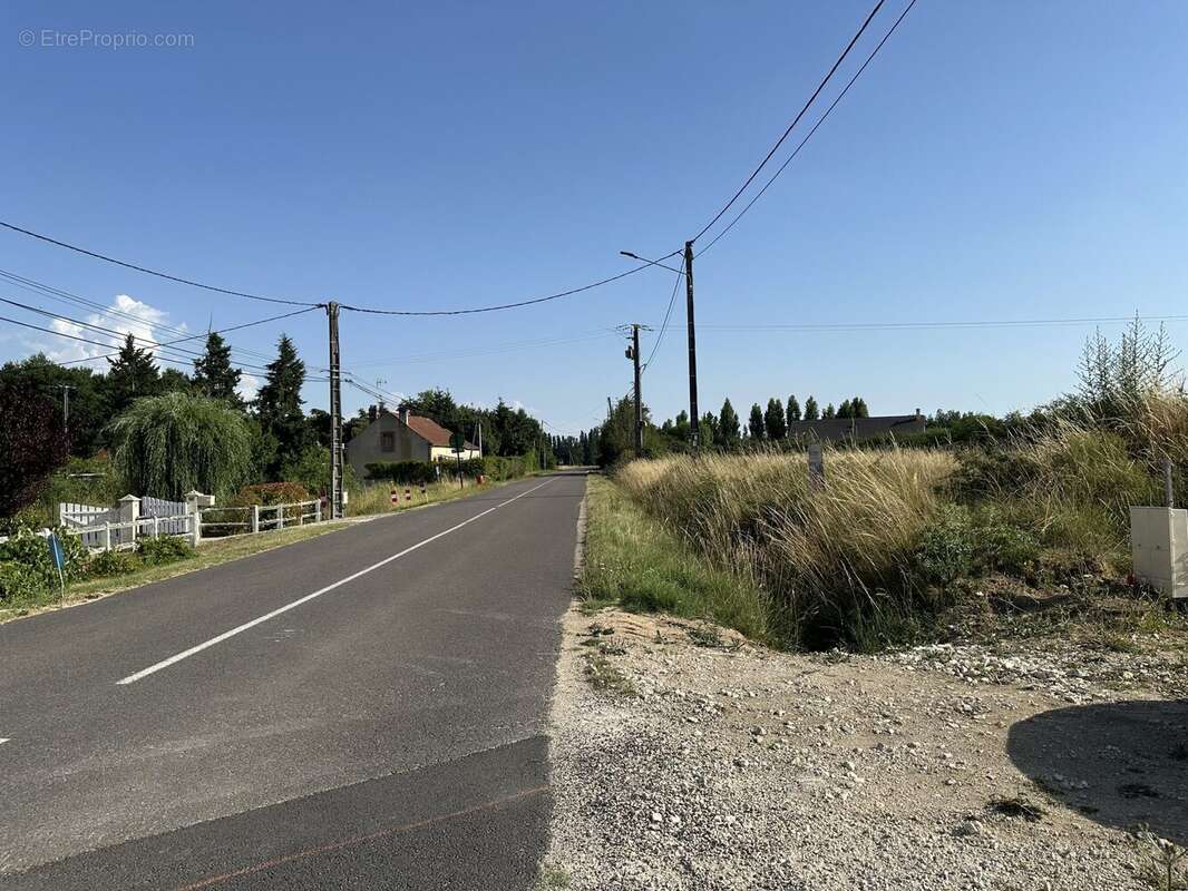 Terrain à LA COUR-MARIGNY