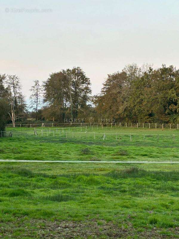 Maison à LA ROCHE-SUR-YON