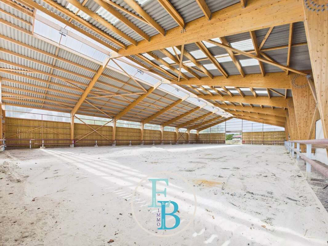 Grangues (pays d'auge) - centre d'entrainement et de reeducation equin avec balneotherapie - photo 6