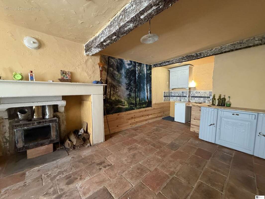 Maison 235 m² à Montesquieu-Volvestre  - photo 3