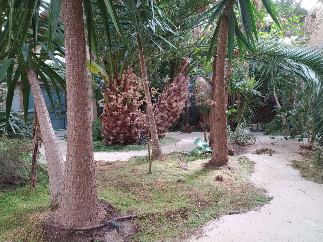 Belle propriété sur la commune de Loiré à 15 minutes de Segré - photo 12