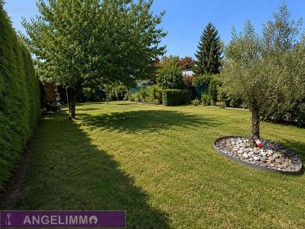 Maison 152 m² à Franconville  - photo 3