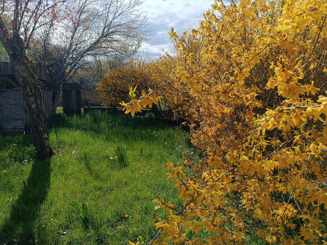 Maison à LA GUERCHE-SUR-L'AUBOIS