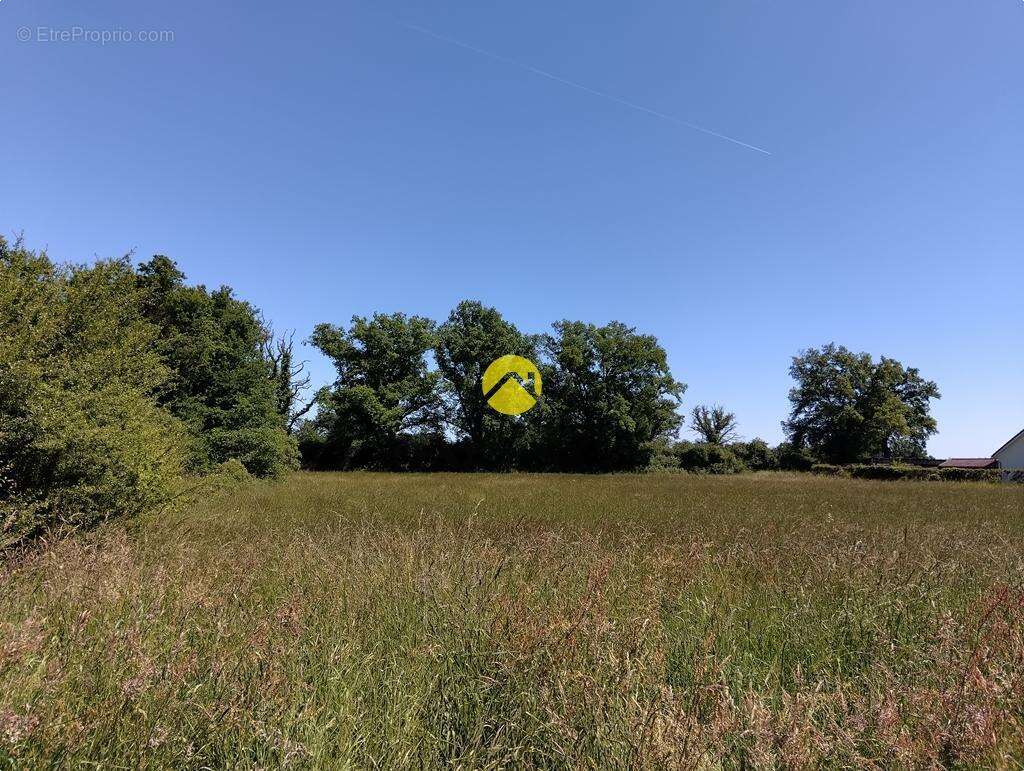 Terrain à LURCY-LEVIS