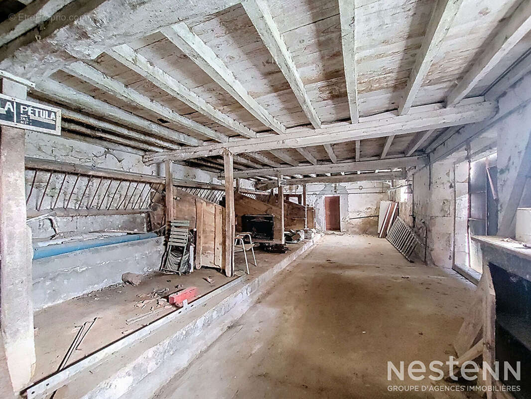 Maison à CASTELNAU-SUR-L'AUVIGNON