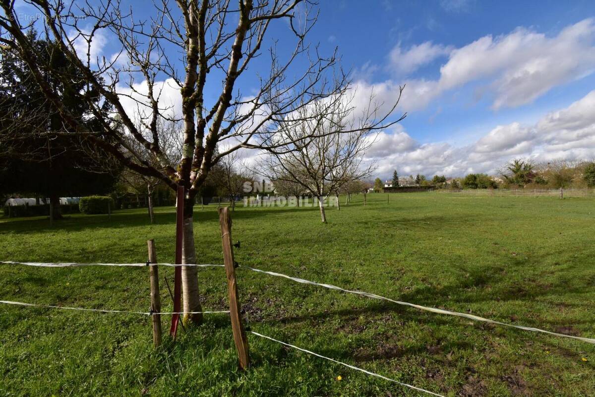 DSC_0003 - Terrain à RUELLE-SUR-TOUVRE