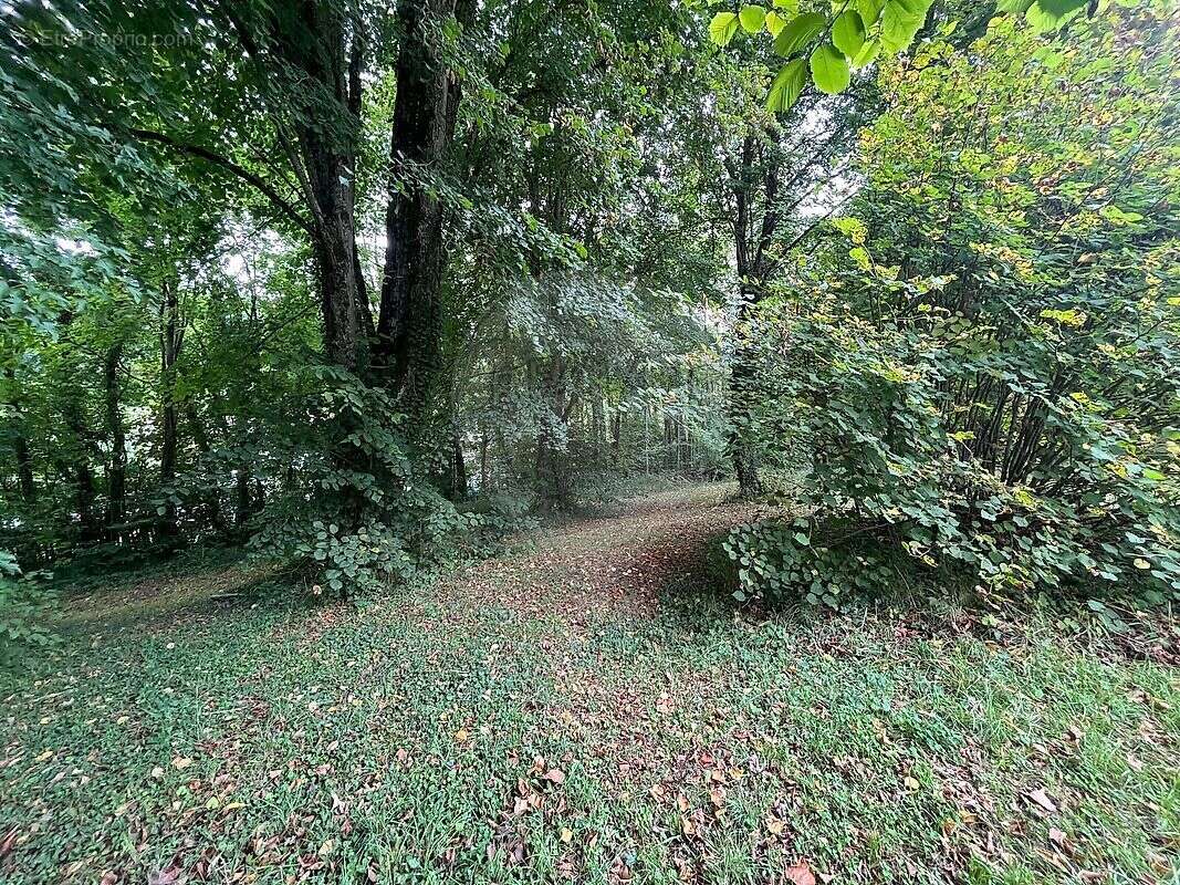 Terrain à LONGUYON