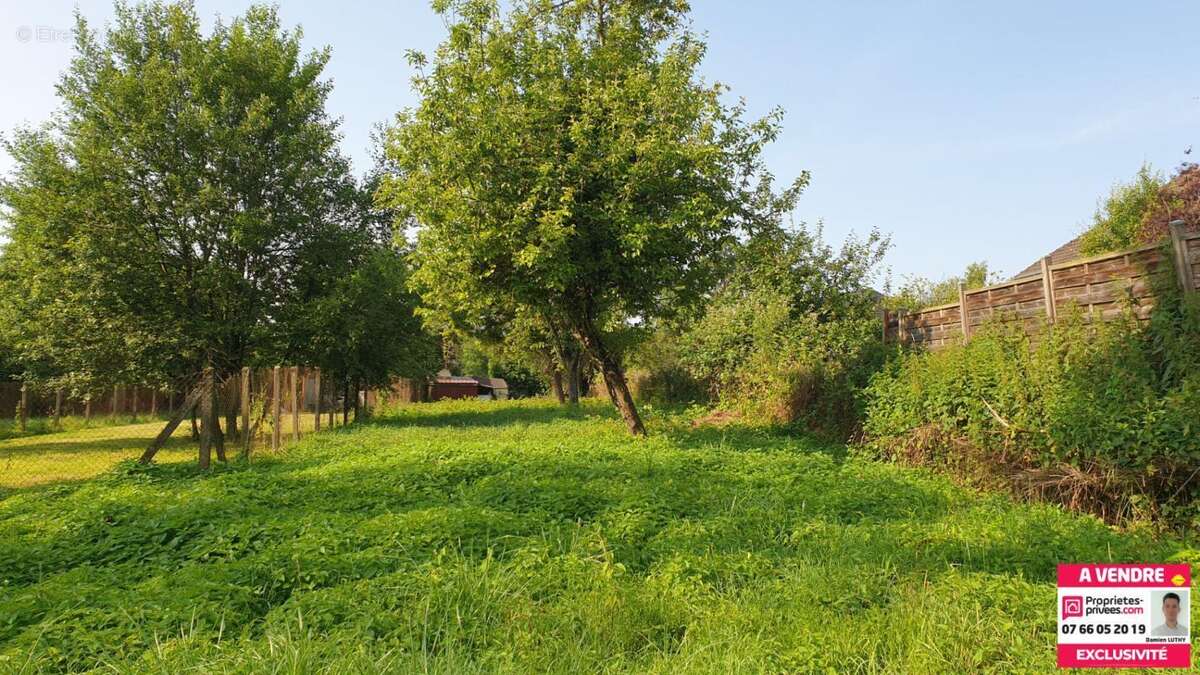 Terrain à BETHONCOURT