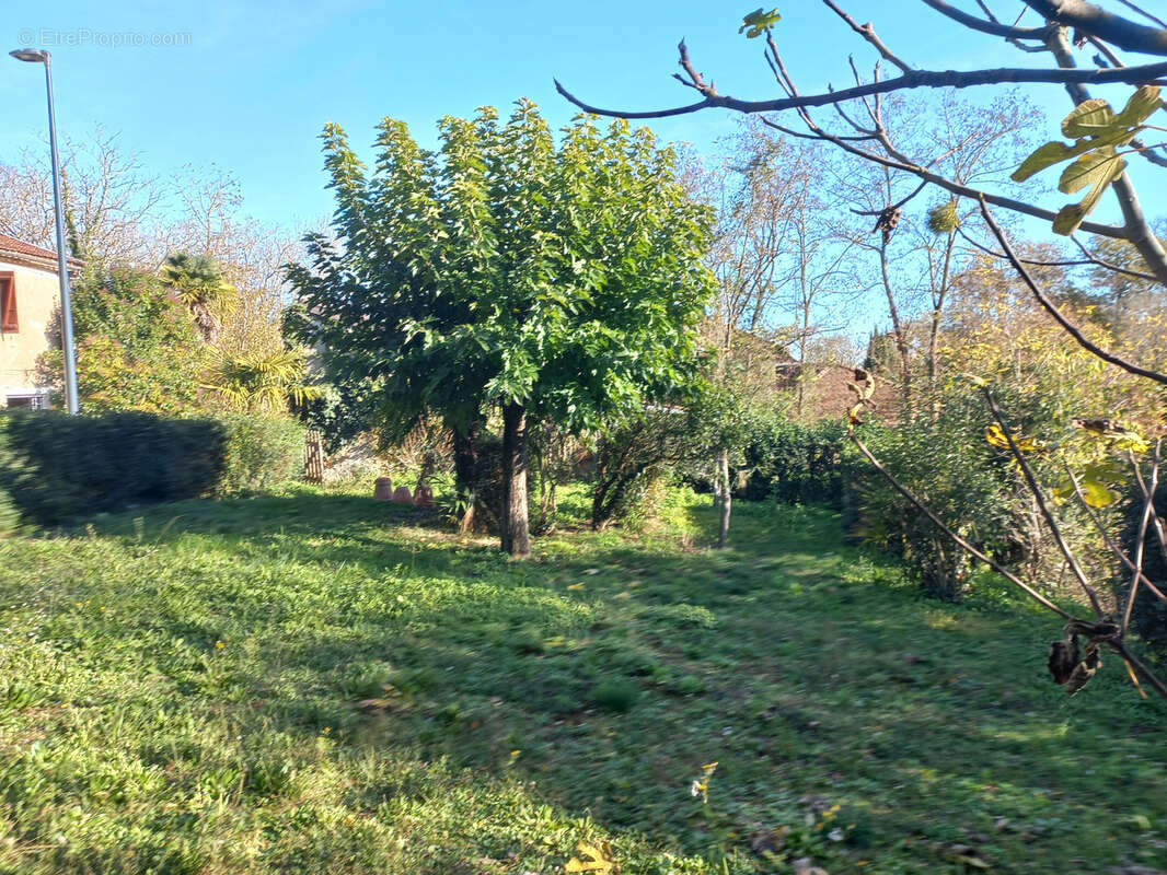 Maison à MONTESQUIOU