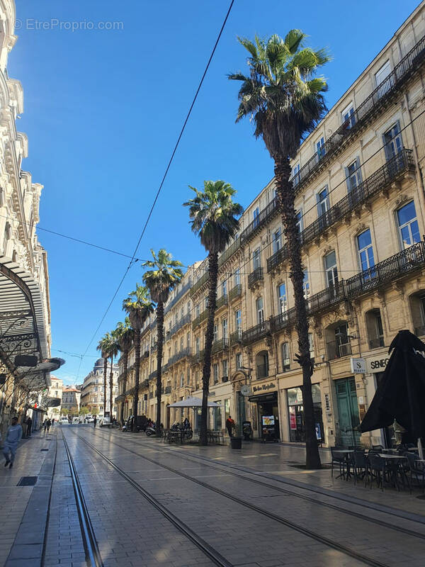Appartement à MONTPELLIER