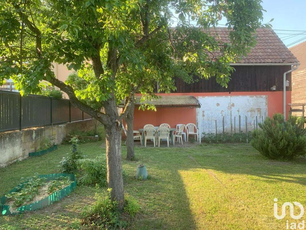 Photo 2 - Maison à TURCKHEIM