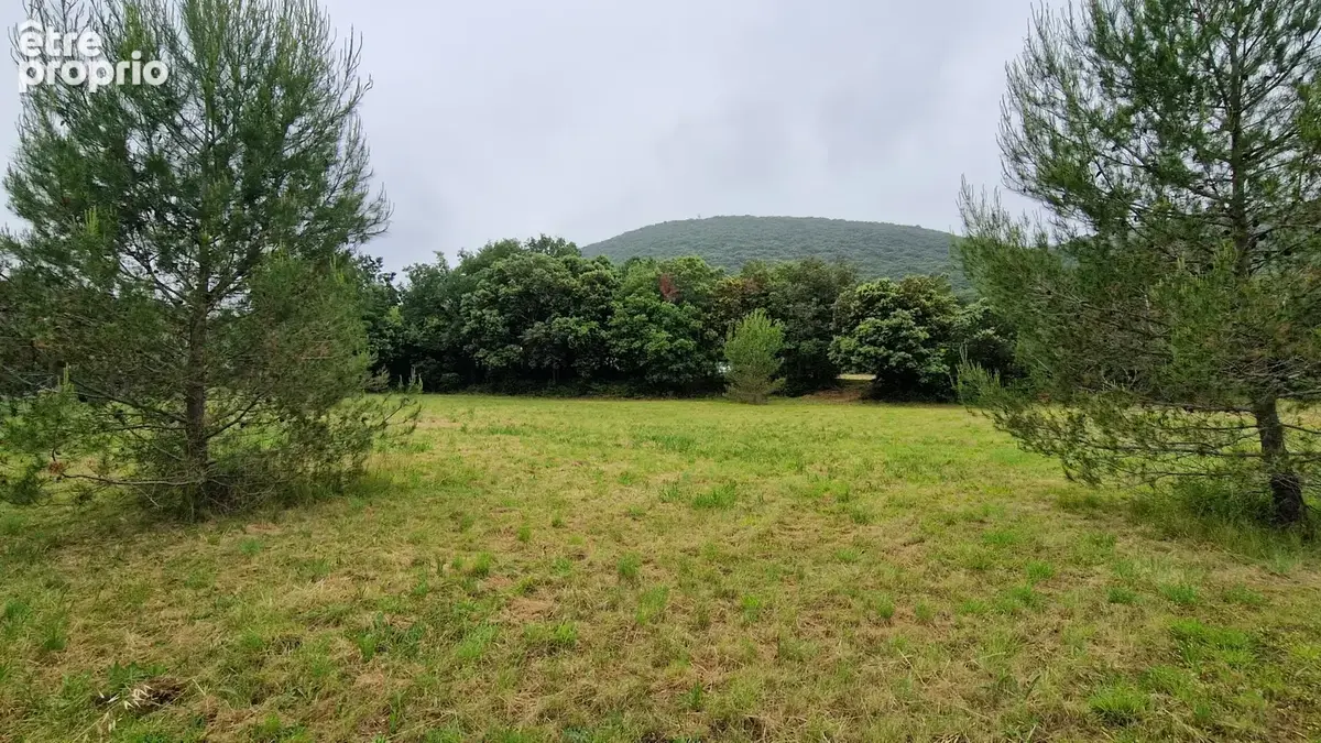 Terrain arboré et viabilisé - photo 3
