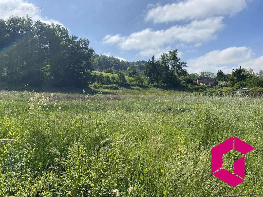 Terrain à COURPIERE
