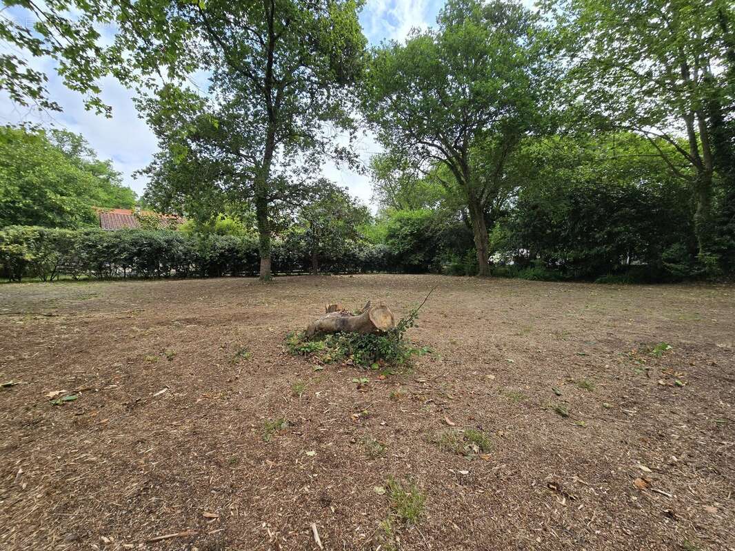 Terrain à MESSANGES