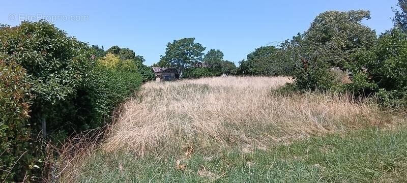 Terrain à FLAUGEAC