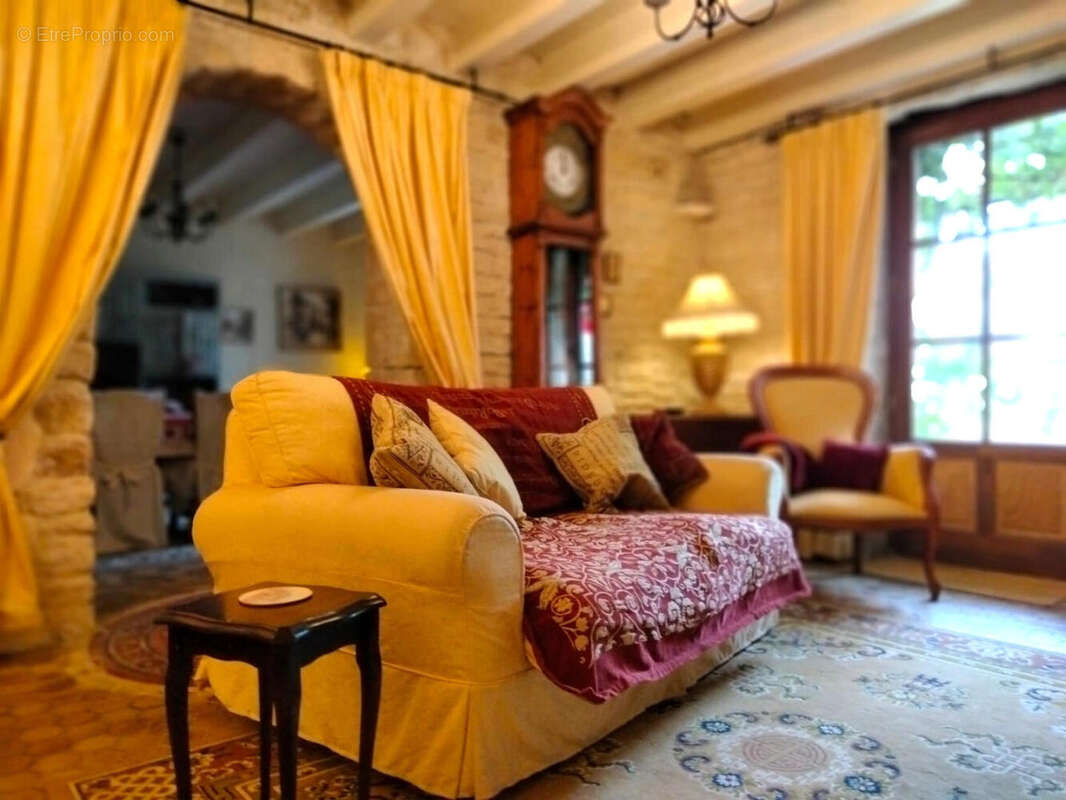 SALON - Maison à SALLES-DE-VILLEFAGNAN