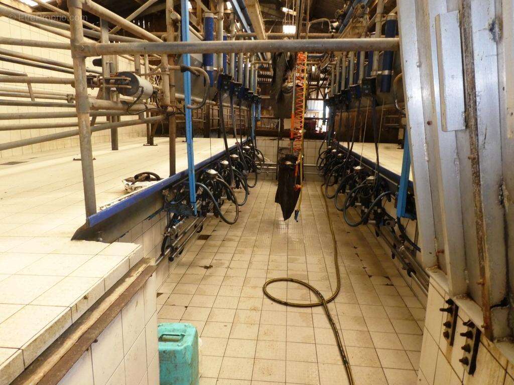 Exploitation agricole - photo 6