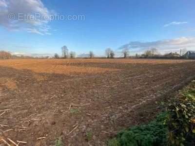 Terrain à SAINT-BENOIT-D&#039;HEBERTOT