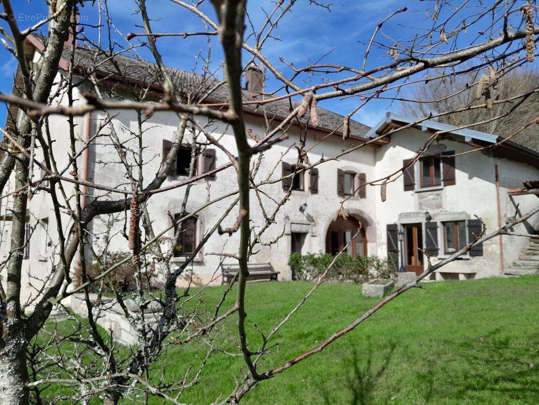 Corps de ferme réhabilité 2 logements - photo 3