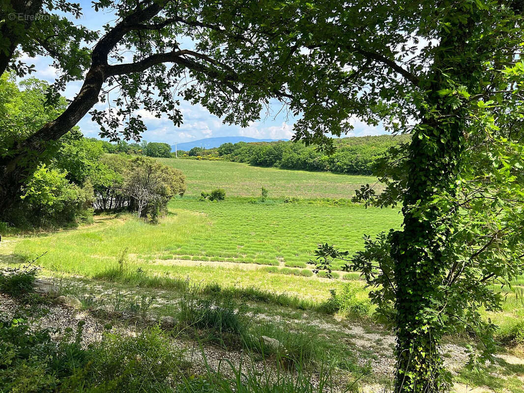Proche de Grignan   Authentique Mas du XVᵉ siècle avec gîtes sur 4,3 hectares - photo 32