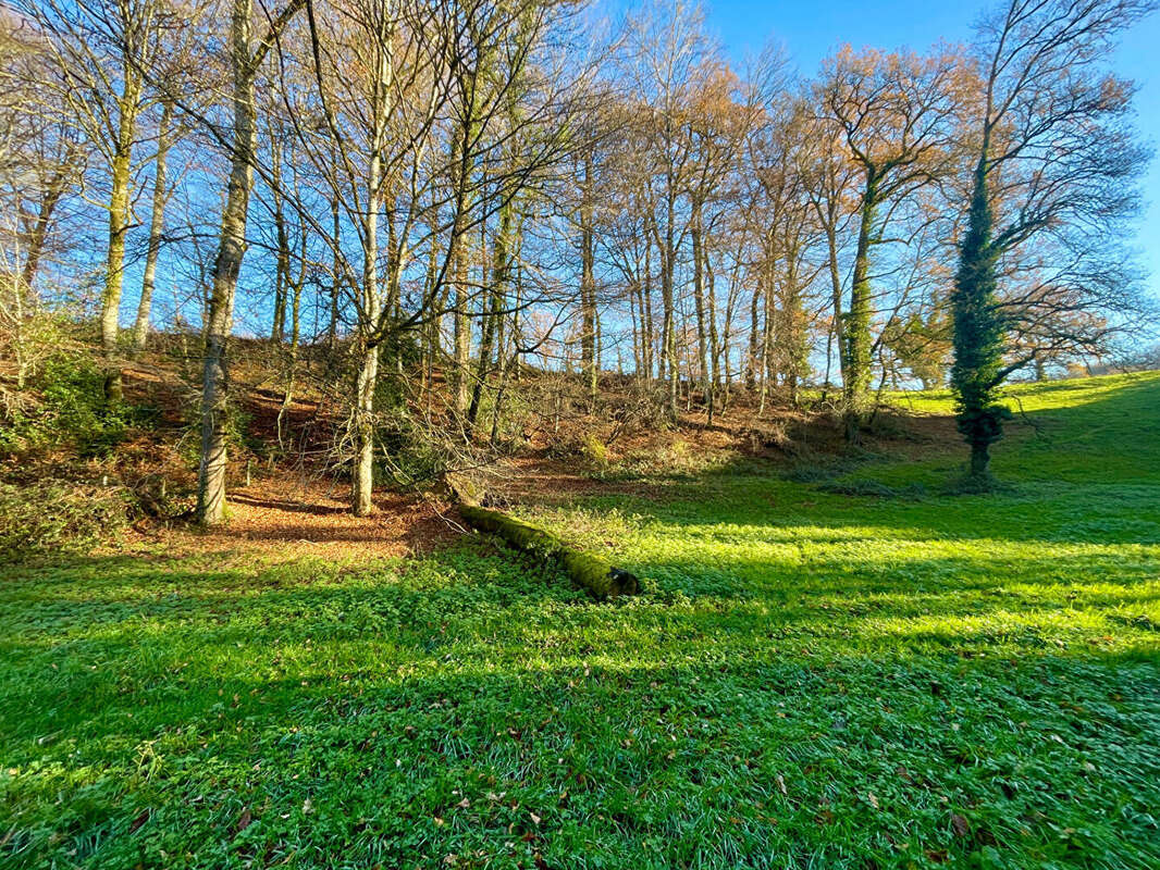 Maison à LANUEJOULS