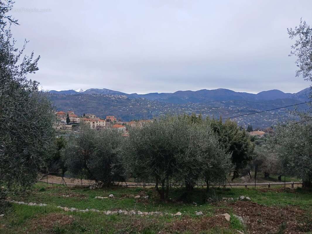 Terrain à CHATEAUNEUF-VILLEVIEILLE