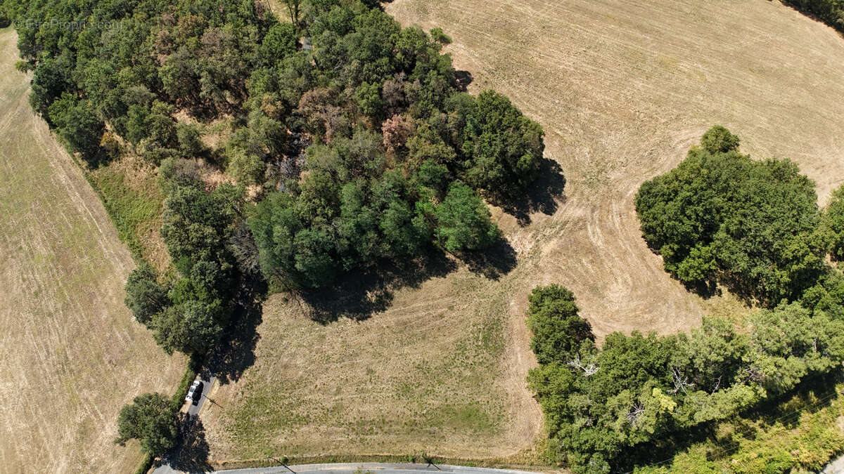Terrain à FLORIMONT-GAUMIER