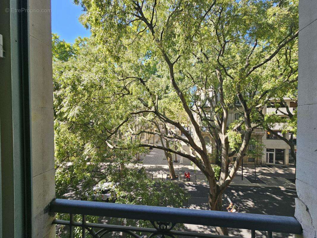 Appartement - photo 3