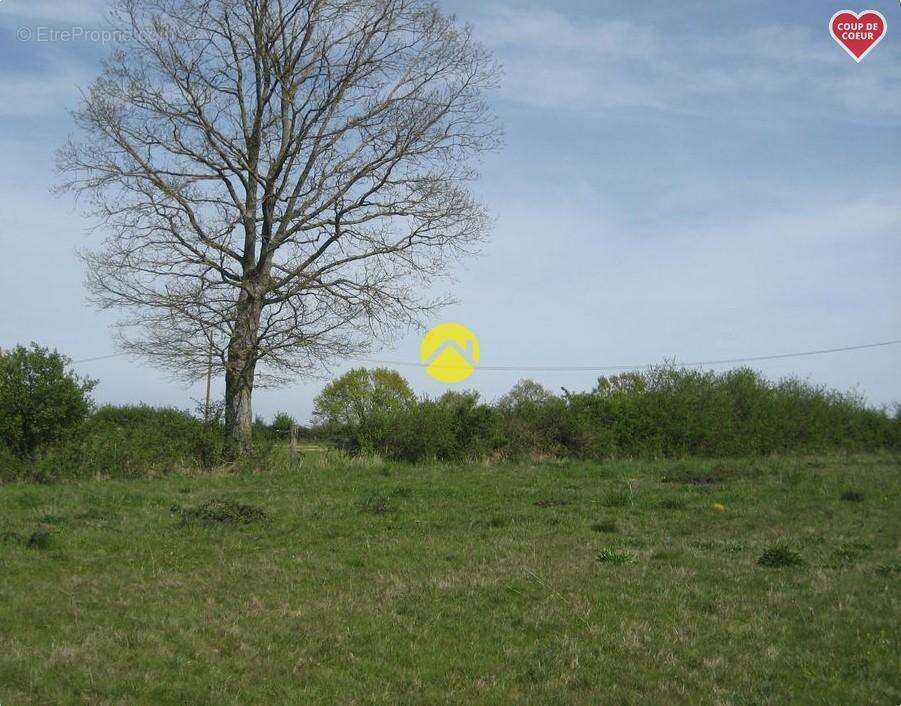 Terrain à BOURBON-L&#039;ARCHAMBAULT