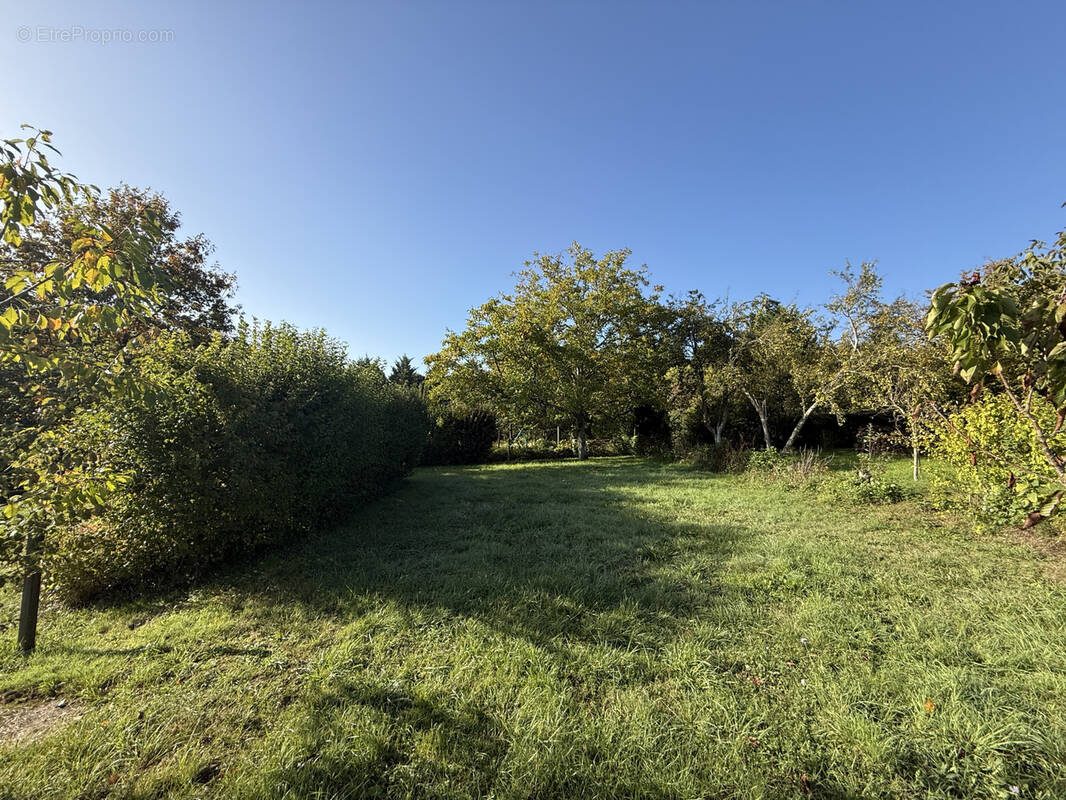 Terrain à AZAY-SUR-CHER