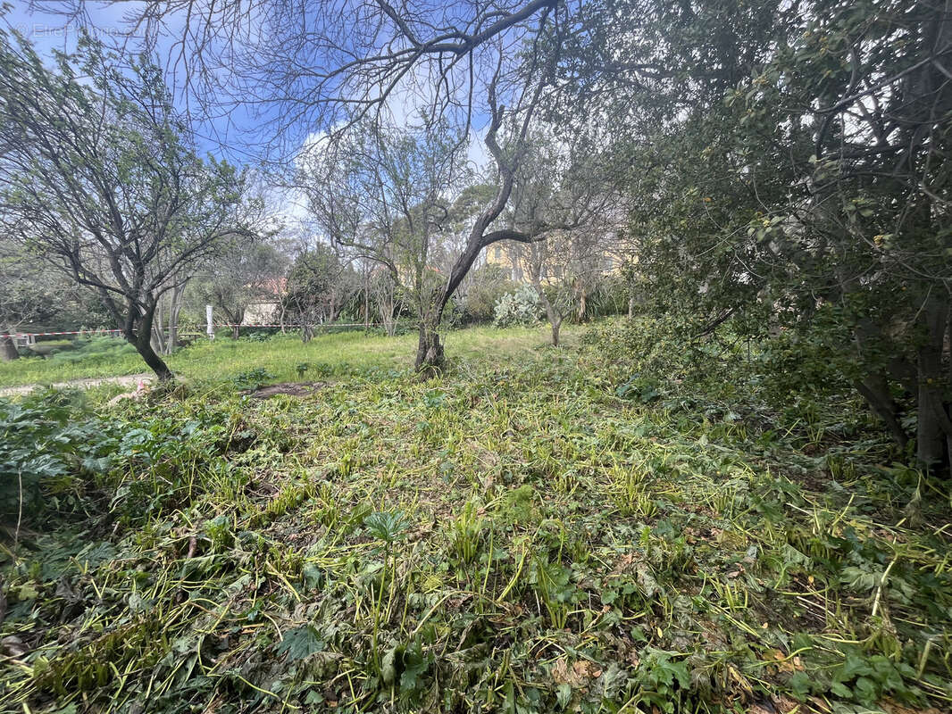 Terrain plat constructible Toulon Est - photo 2