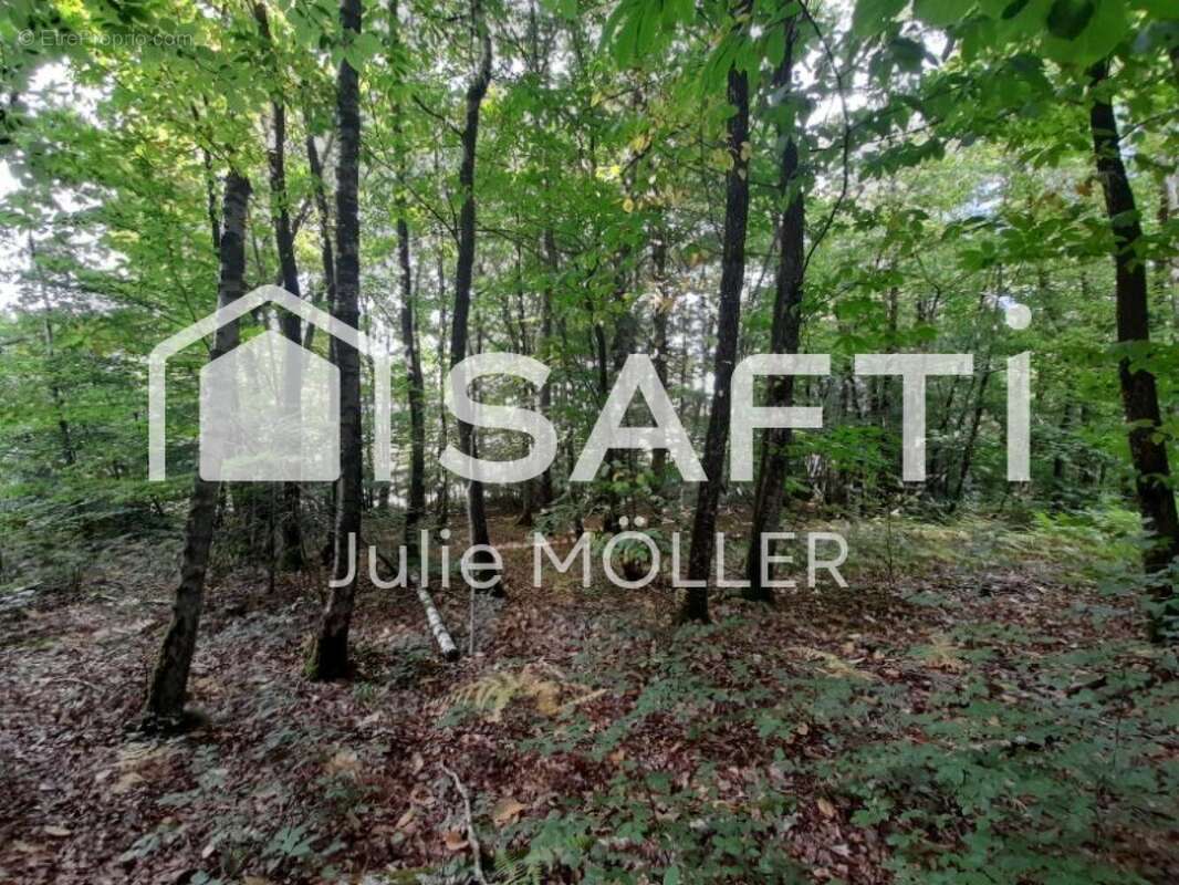 Photo 3 - Terrain à MONTAIGUT-LE-BLANC