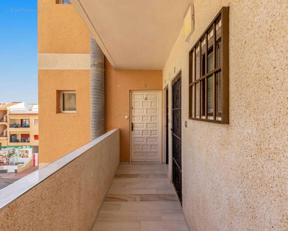 Studio vue mer à La Mata, Alicante, Espagne - photo 11
