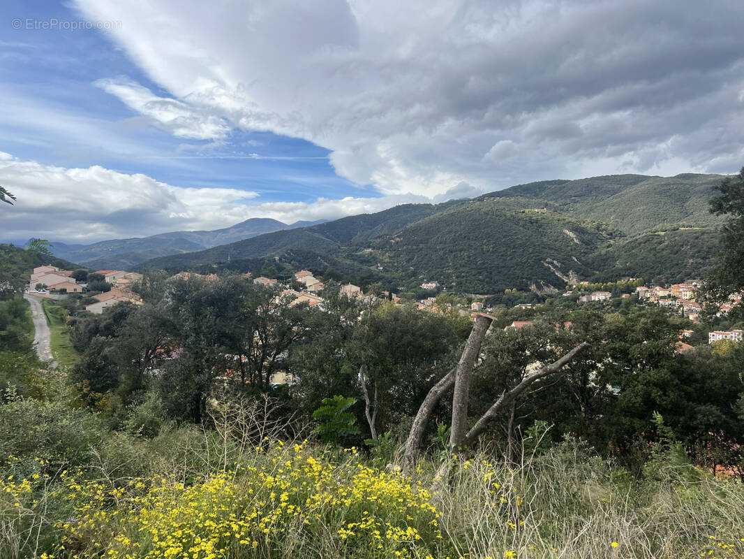 Terrain à AMELIE-LES-BAINS-PALALDA