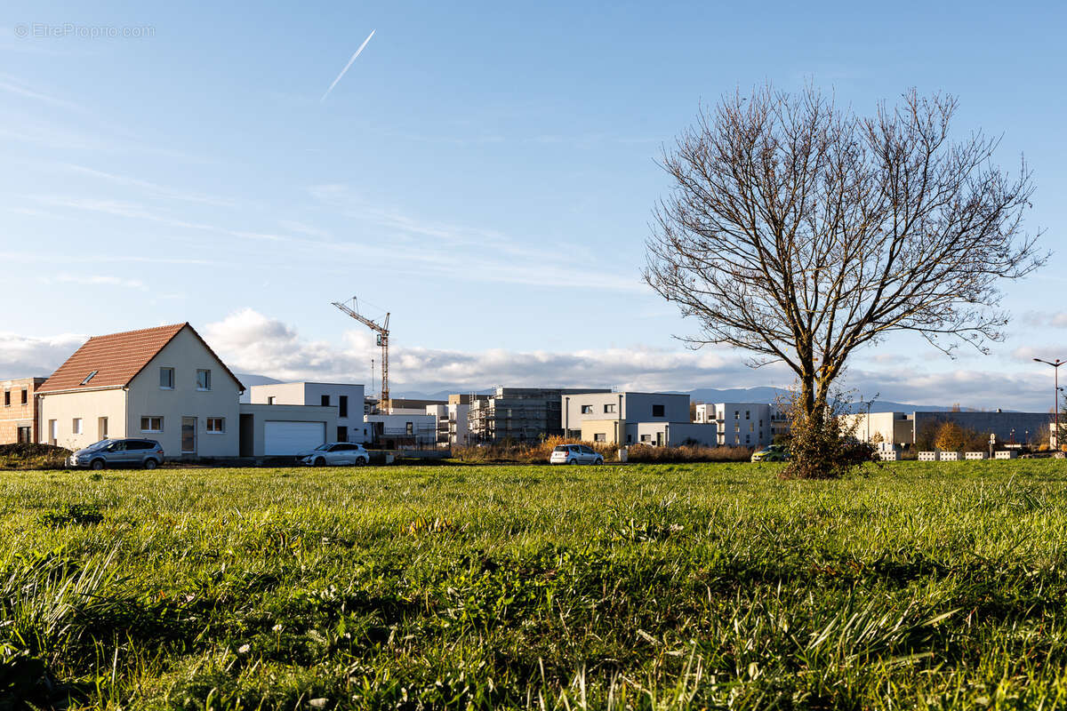 Terrain à ENSISHEIM